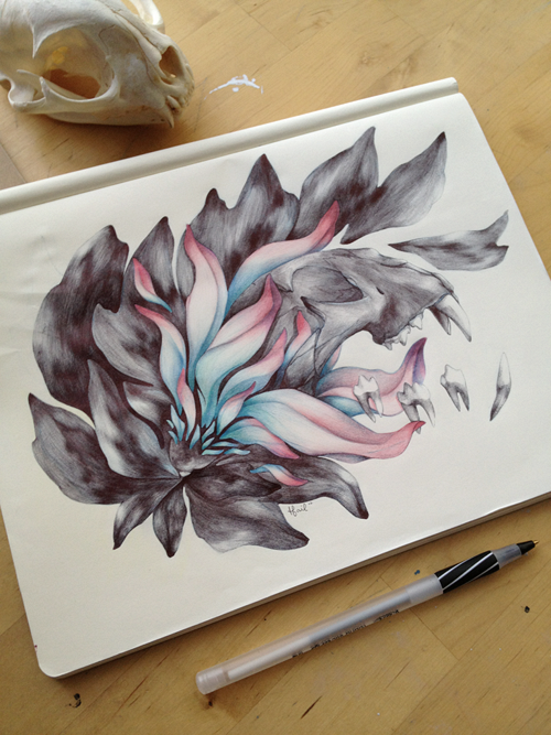 illustration-t.s.claire-2