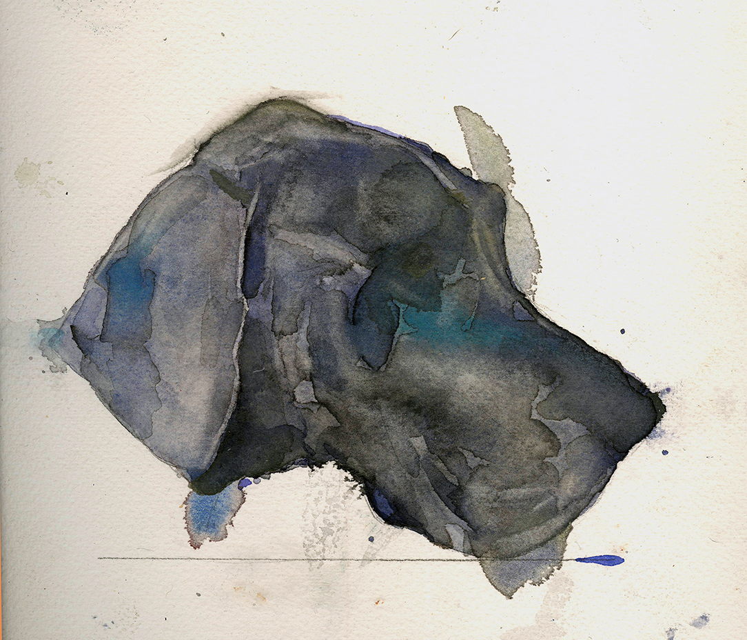 Benjamin-Bjorklund-1