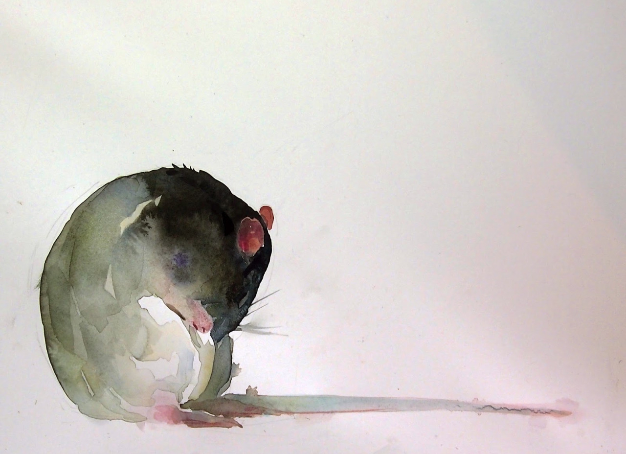 Benjamin-Bjorklund-2