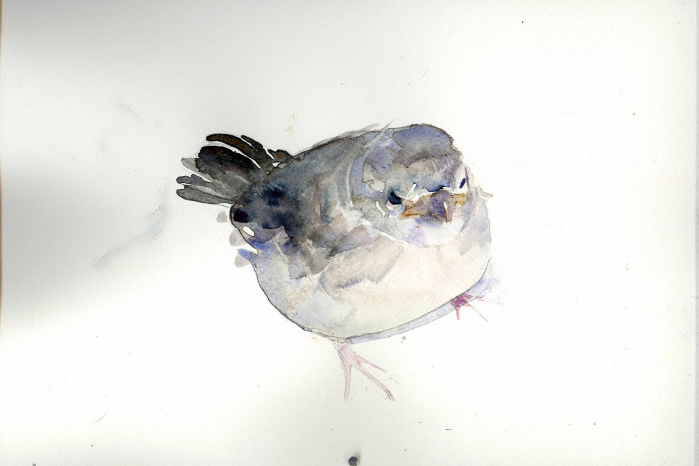 Benjamin-Bjorklund-3