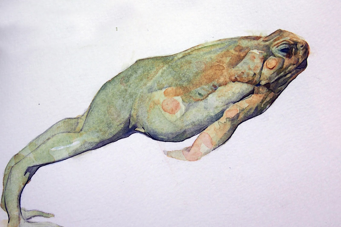 Benjamin-Bjorklund-4