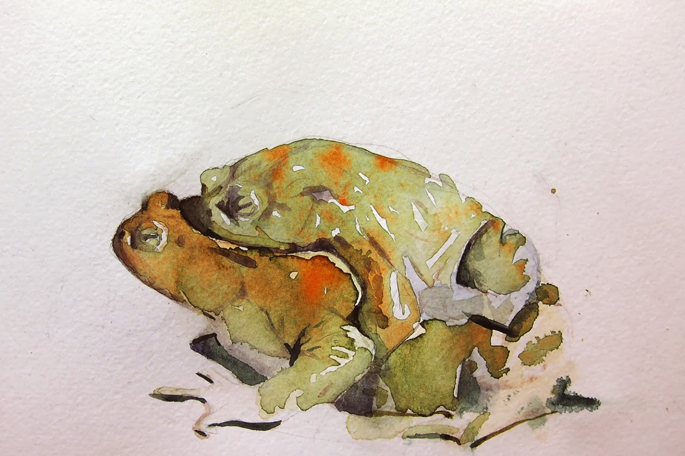 Benjamin-Bjorklund-6