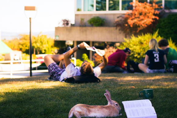 Copy of Snímek obrazovky 2022-02-22 v 18.59.53