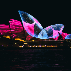 2-mark-thompson-A6Jwe2av-F8-unsplash