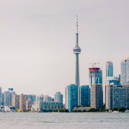 scott-webb-VL-OvBppmzI-unsplash