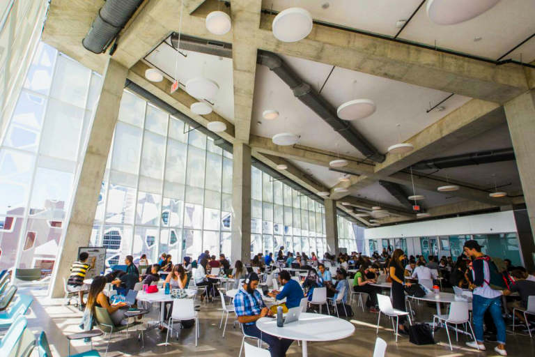 ryerson-university-students-slc