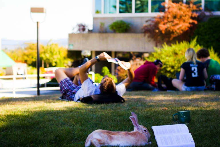 Snímek obrazovky 2022-02-22 v 18.59.53