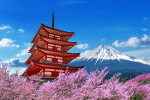 cherry-blossoms-spring-chureito-pagoda-fuji-mountain-japan (1)