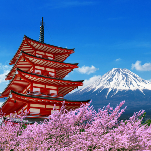 cherry-blossoms-spring-chureito-pagoda-fuji-mountain-japan (1)