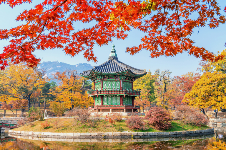 gyeongbukgung-maple-tree-autumn-korea (1)
